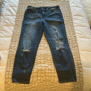 Judy Blue Distressed Slim Jean